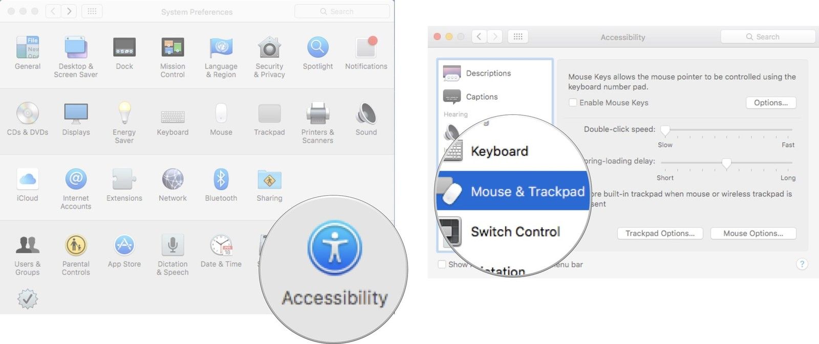 Выбор мыши и трекпада в системных настройках на Mac