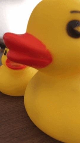 Делайте живые фотографии видеозвонков FaceTime (и защитите себя от записи)