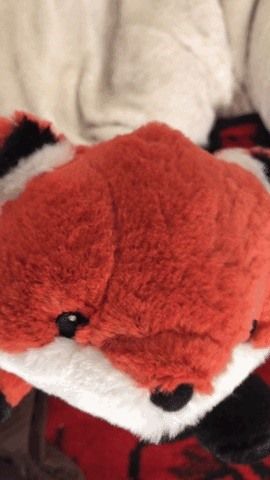 Делайте живые фотографии видеозвонков FaceTime (и защитите себя от записи)