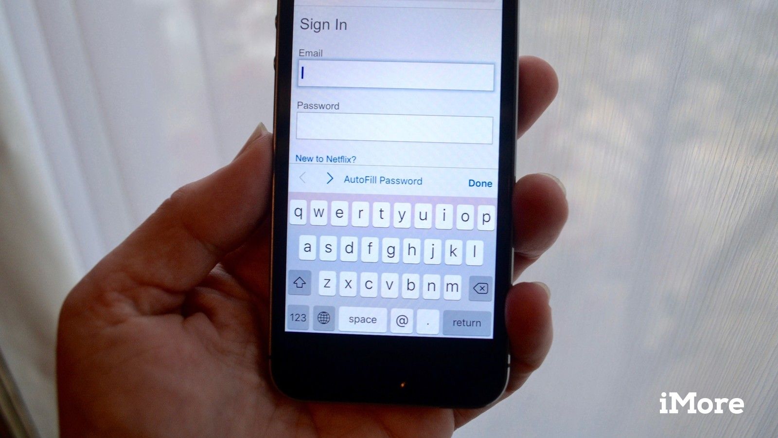 Брелок Safari iCloud