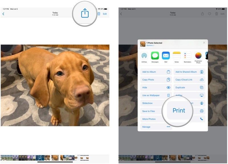 Нажмите «Поделиться», выберите «Печать» Нажмите «Поделиться», выберите «Печать»