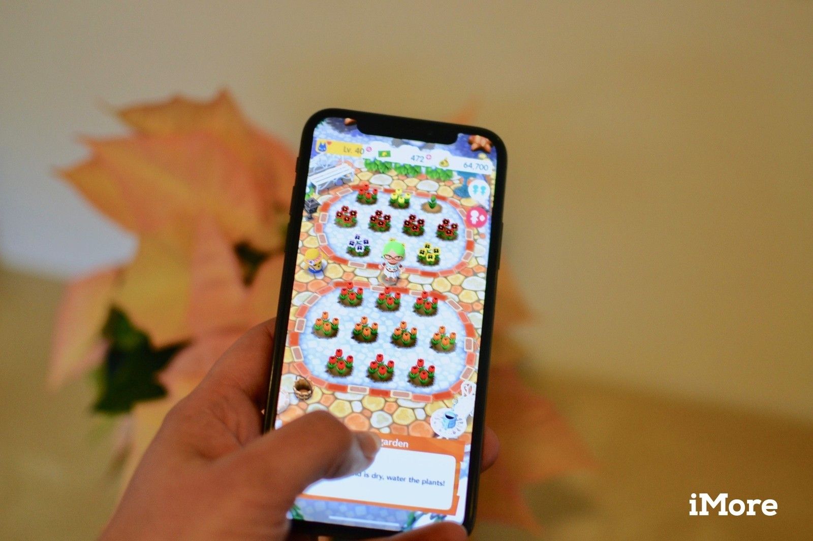 Садоводство в карманном лагере для животных