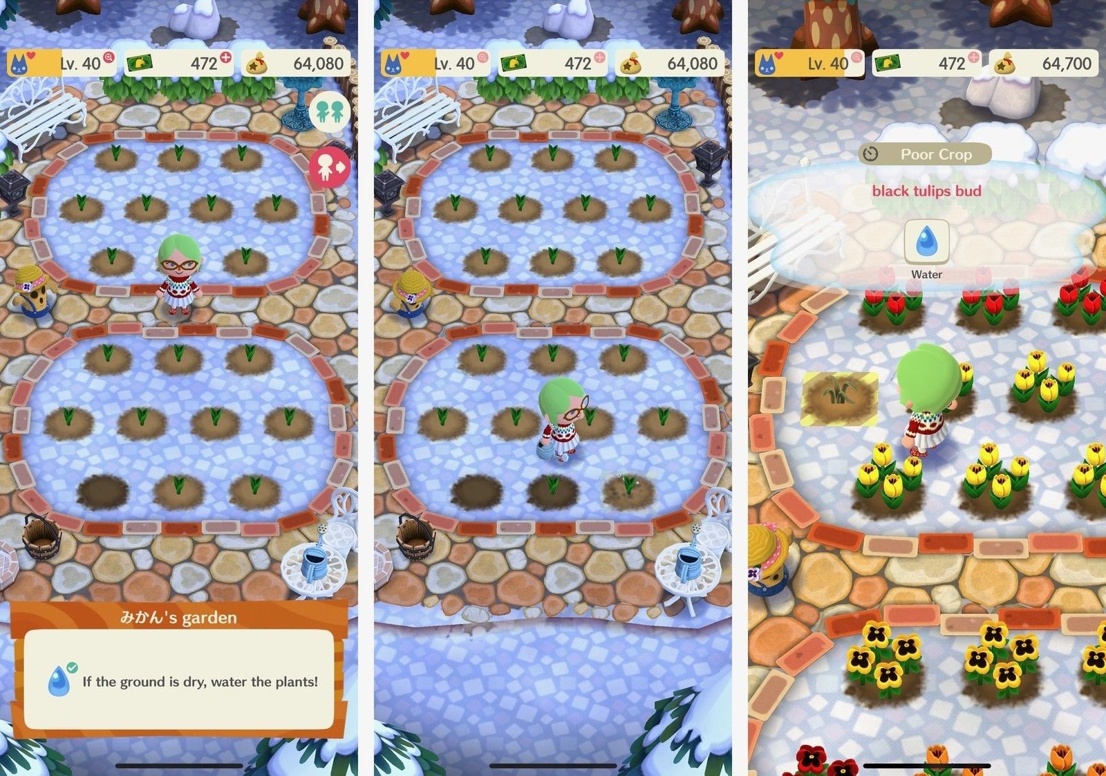 Садоводство в карманном лагере для животных