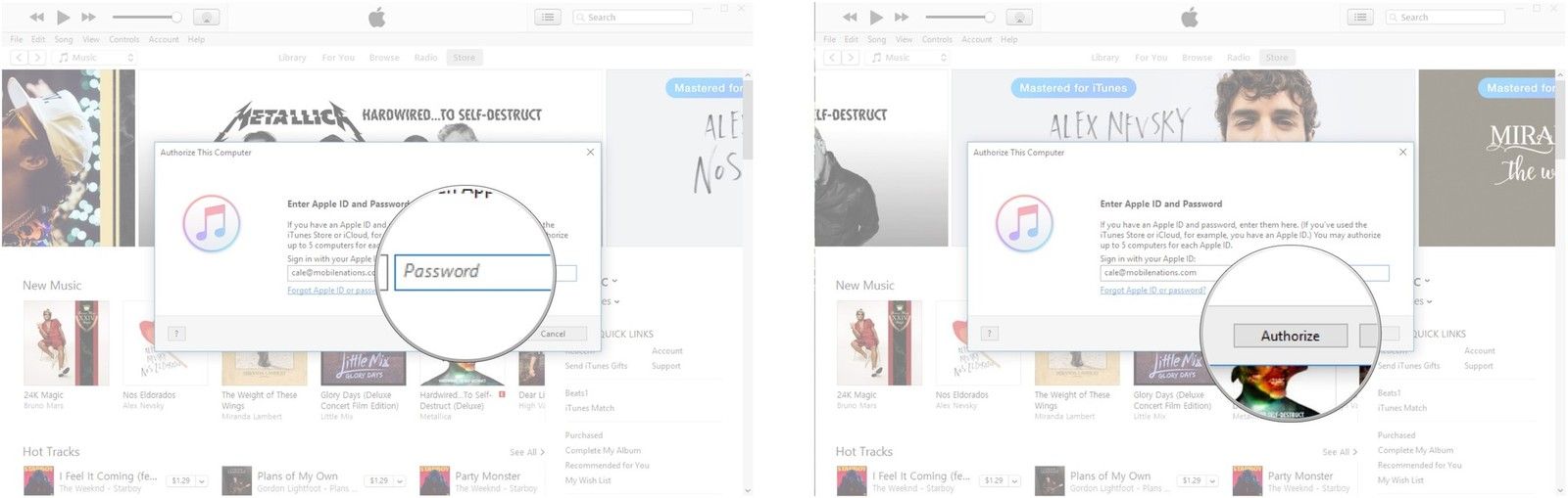 Введите свой пароль. Нажмите Авторизоваться.