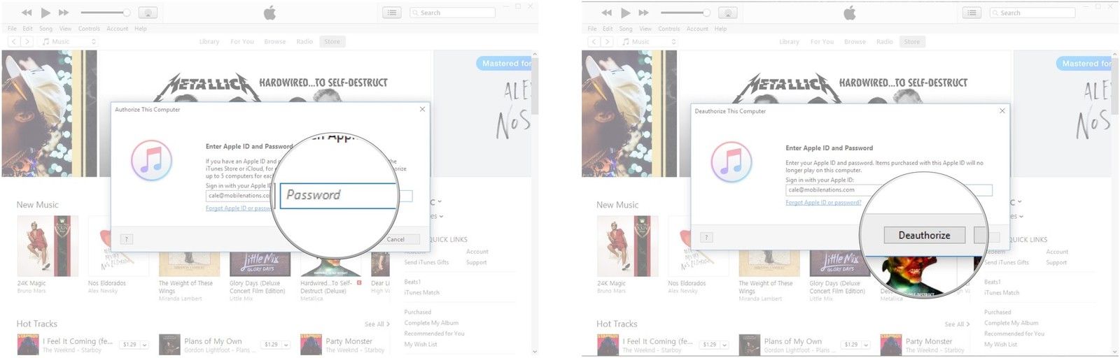Введите свой пароль. Нажмите Деавторизовать.