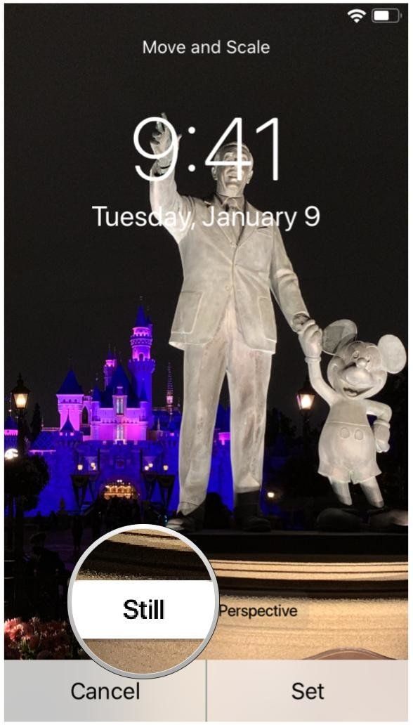 Выбери свой стиль Выбери свой стиль