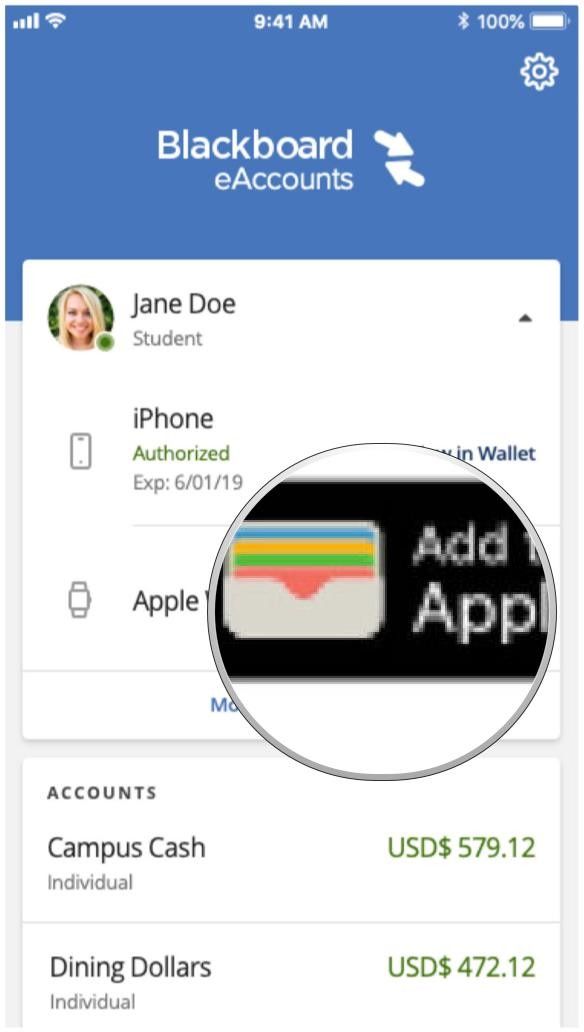 Кнопка eAccounts Mobile Добавить в кошелек