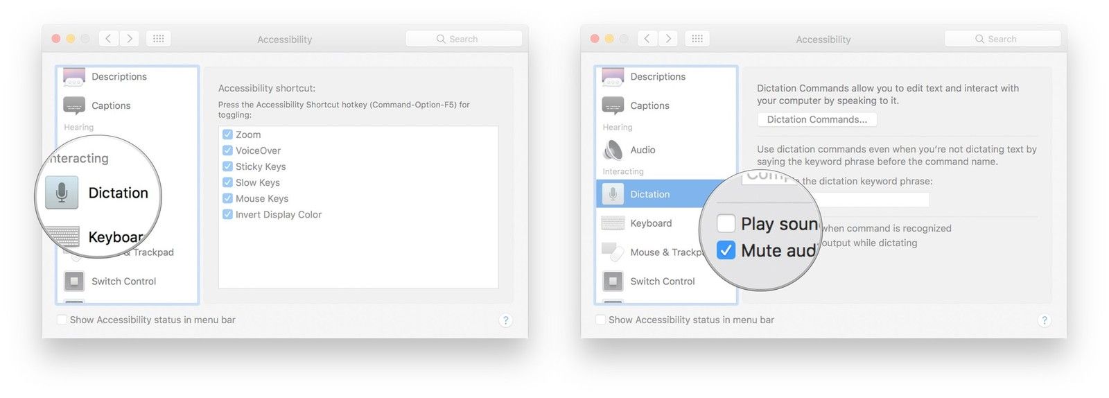 Нажмите Dictation в меню слева, установите флажок