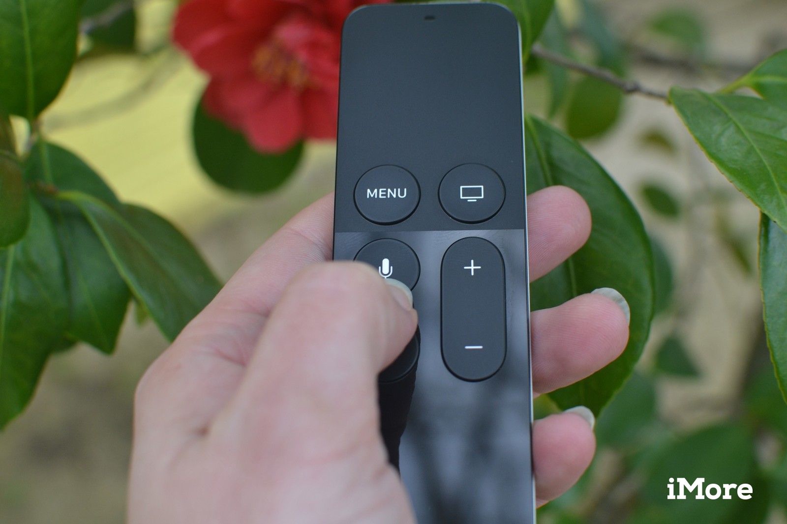 Сири Баттон на пульте Siri