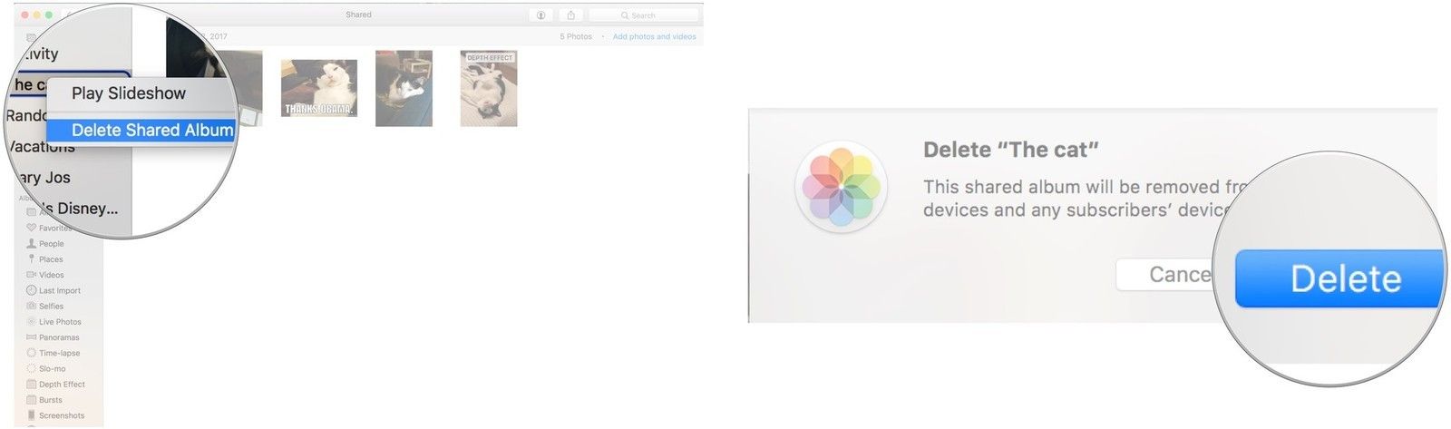 Щелкните правой кнопкой мыши или удерживайте нажатой клавишу «Control» на альбоме, затем выберите «Удалить».