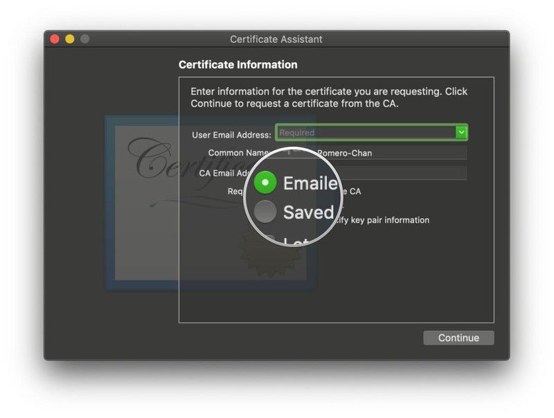 Форма запроса запроса помощника по сертификации, выберите параметры