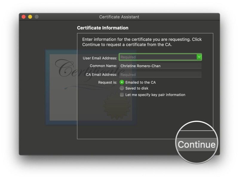 Сертификат помощника Запрос информации Продолжить