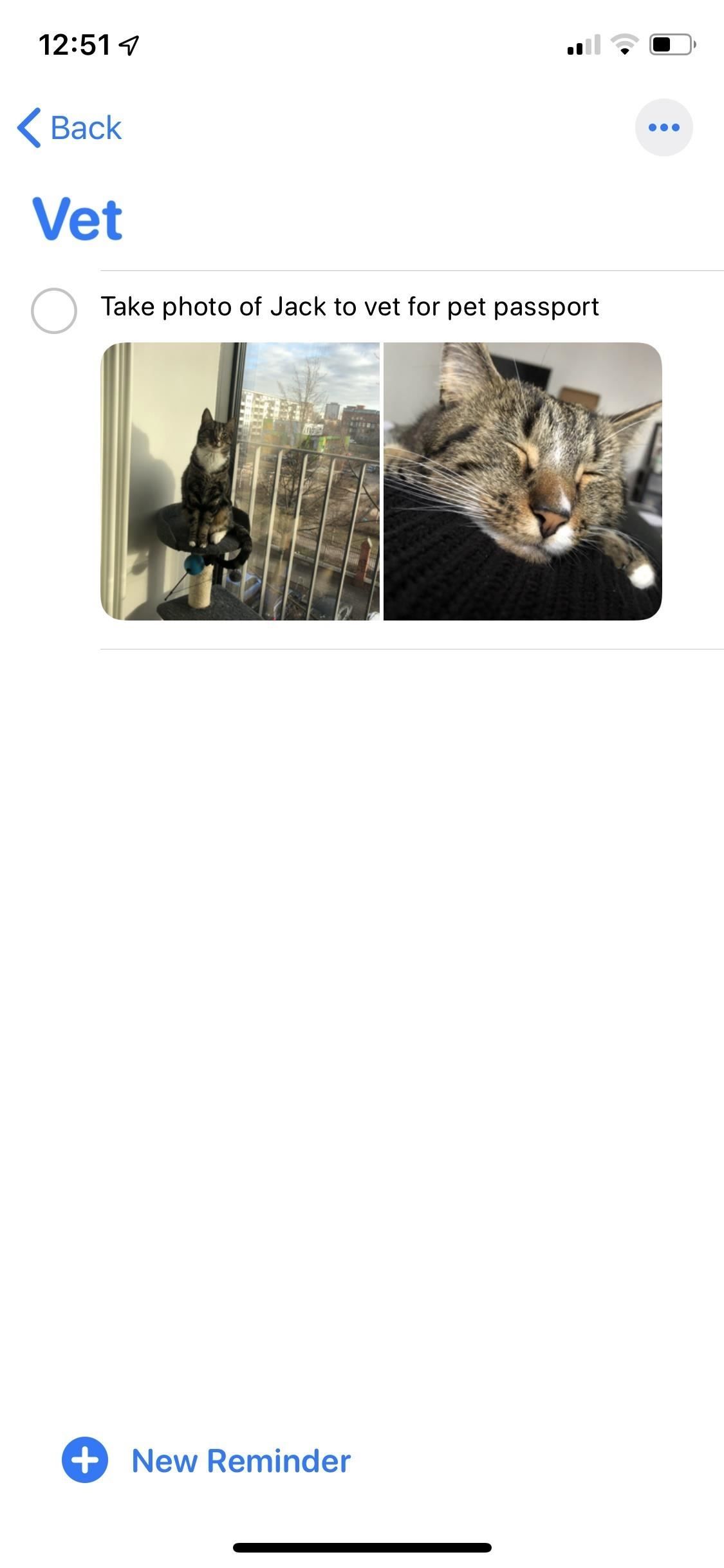 Как прикрепить фотографии, отсканированные документы и веб-ссылки на напоминания в iOS 13