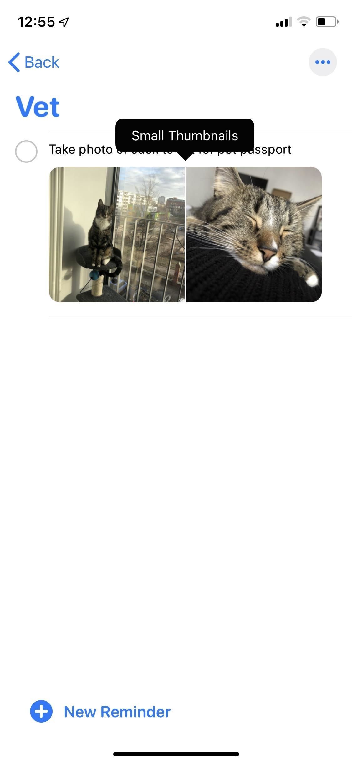 Как прикрепить фотографии, отсканированные документы и веб-ссылки на напоминания в iOS 13