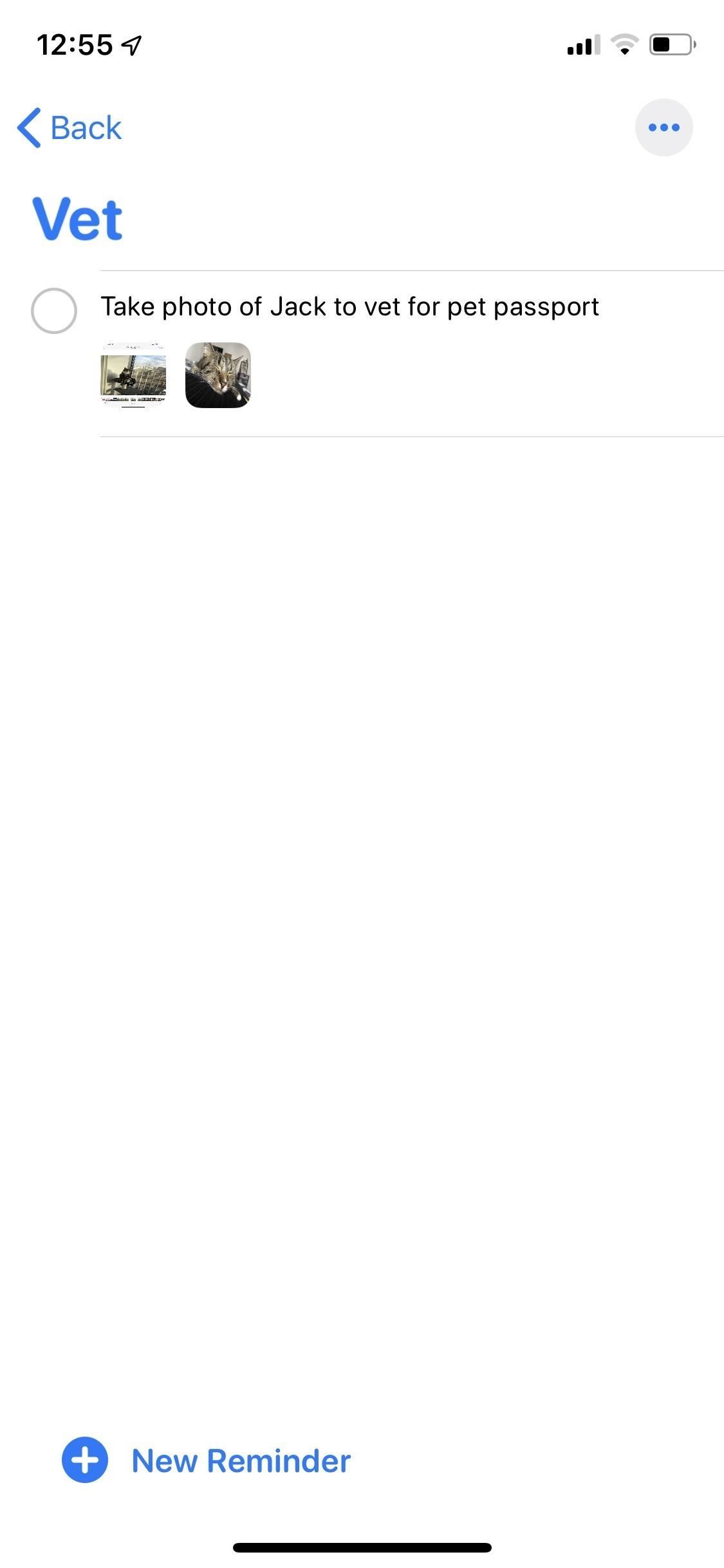 Как прикрепить фотографии, отсканированные документы и веб-ссылки на напоминания в iOS 13
