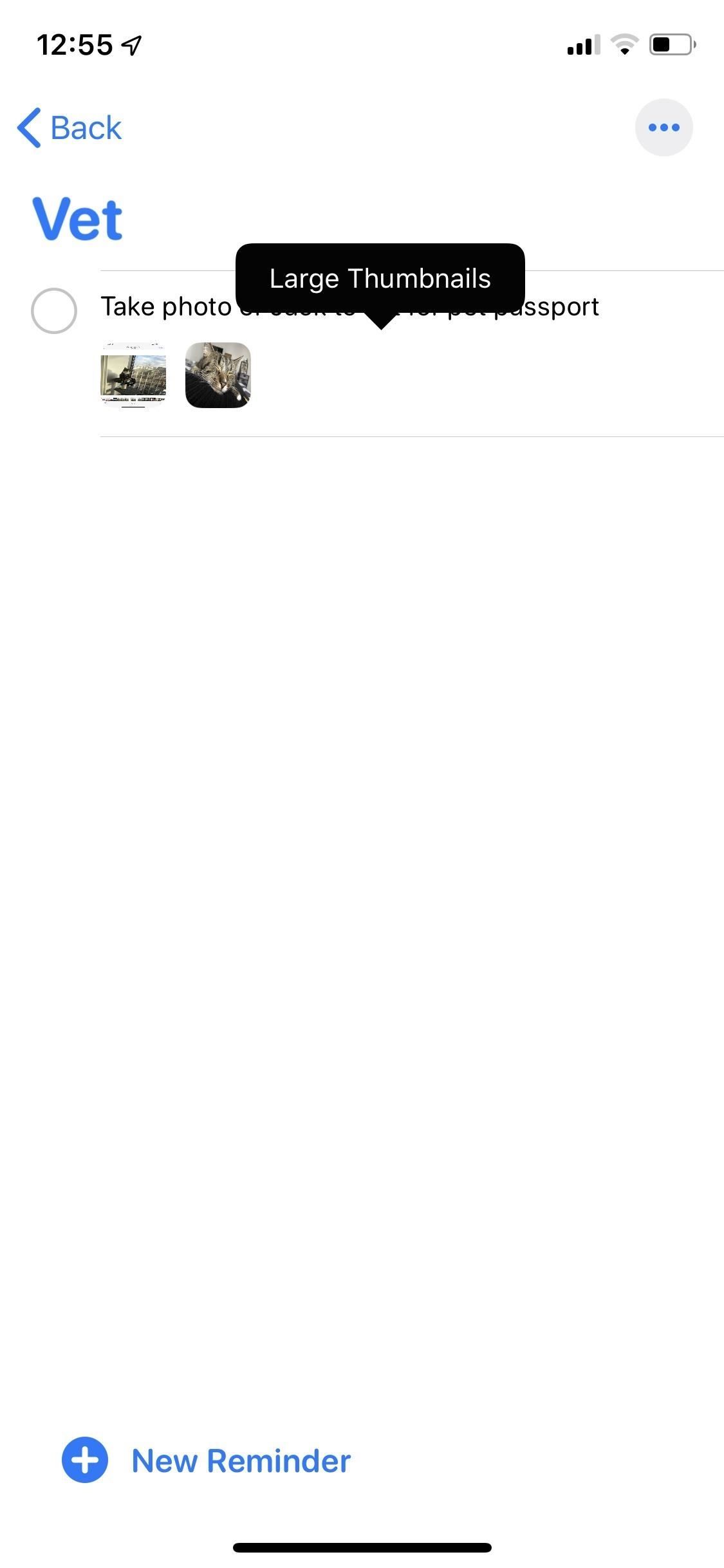 Как прикрепить фотографии, отсканированные документы и веб-ссылки на напоминания в iOS 13