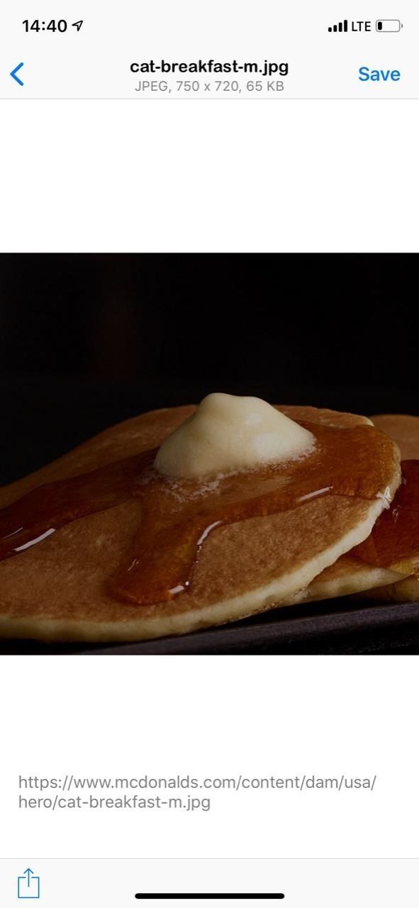 Как скачать изображения на свой iPhone, когда сайт на Safari выиграл't Let You