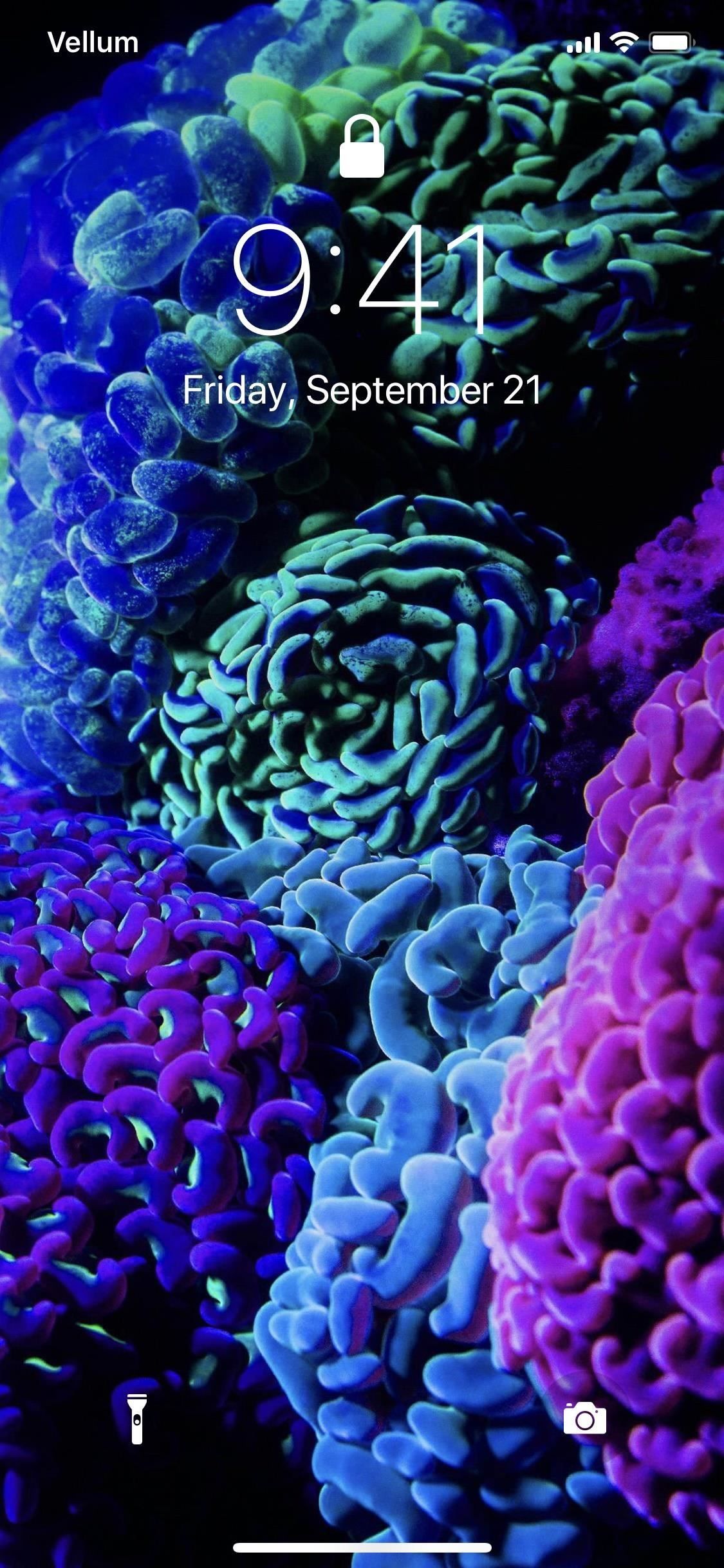 Топ 5 бесплатных обоев для вашего iPhone