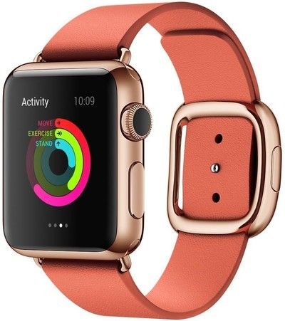 Kartice современная пряжка