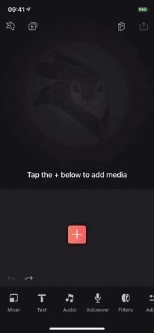 Замените фоновые изображения с помощью инструмента Chroma Key с зеленым экраном в Enlight Videoleap для iPhone