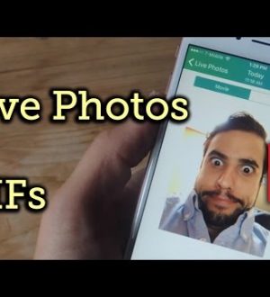 Как поделиться живыми фотографиями с кем-либо, преобразовав их в GIF-файлы