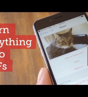 Лучший способ сделать гифки из всего на вашем iPhone