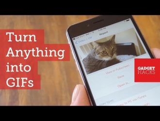 Лучший способ сделать гифки из всего на вашем iPhone