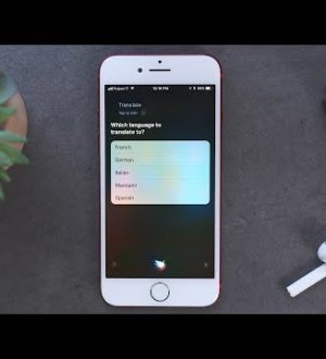 Как использовать новую функцию перевода Siris в iOS 11