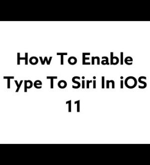 Как включить тип для Siri в iOS 11