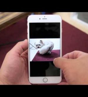 Как использовать живые фотографии на iPhone и iPad