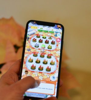 Animal Crossing: Pocket Camp: Как получить редкие цветы |