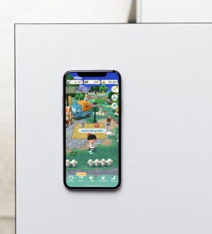 Animal Crossing: Pocket Camp: Как получить все в Gyroidite Scavenger Hunt # 3 |