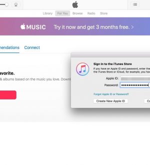 Apple Music 101: Как загрузить песни и другие медиафайлы из музыкальной библиотеки iCloud для автономного воспроизведения