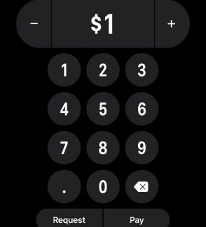 Apple Pay Cash 101: как запросить деньги у друзей и семьи через iMessage