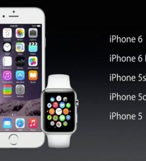 Apple Watch Buyer Guide 2015: выберите один вариант