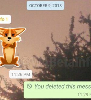 Что может сделать сообщение от Apple WhatsApp может сделать тоже