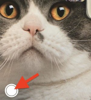 Делайте живые фотографии видеозвонков FaceTime (и защитите себя от записи)