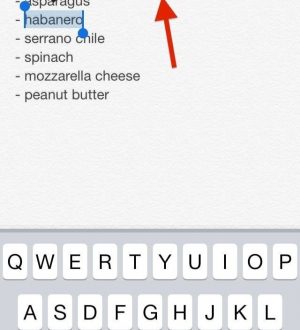 iOS 8 позволяет добавлять расширенный текст и фотографии (даже GIF) к заметкам на вашем iPhone