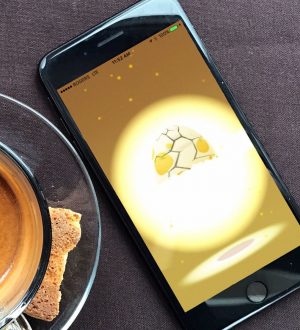 Яйца покемонов Go и как их выводить быстрее |