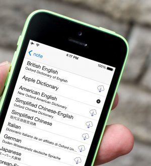 Как добавить и удалить словари на iPhone и iPad |
