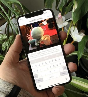 Как добавить описания к изображениям в Твиттере |