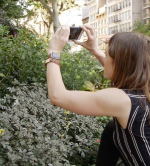 Как добавлять, комментировать и добавлять подписчиков в общие фотоальбомы на вашем iPhone, iPad, Mac или ПК |