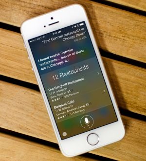 Как искать разные типы ресторанов с Siri |
