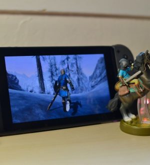 Как получить комплект ссылок от The Legend of Zelda: Дыхание дикой природы в Skyrim для Nintendo Switch |