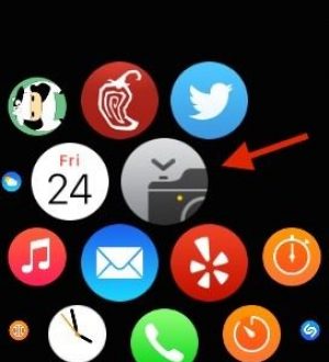 Как использовать Apple Watch в качестве дистанционного затвора для камеры вашего iPhone