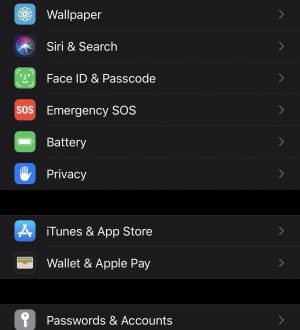 Как использовать беспроводную или USB-мышь на вашем iPhone в iOS 13