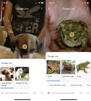 Как использовать Google Lens на iPhone
