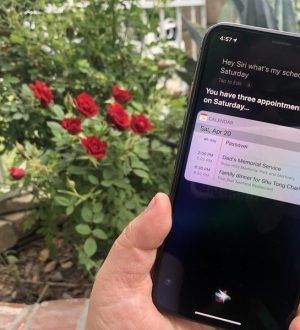 Как использовать Календарь с Siri |