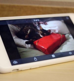 Как использовать приложение Amazon Photos для iPhone и iPad |