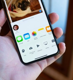 Как использовать приложение «Фото» для создания слайд-шоу, обоев и добавления контактов в iPhone и iPad |